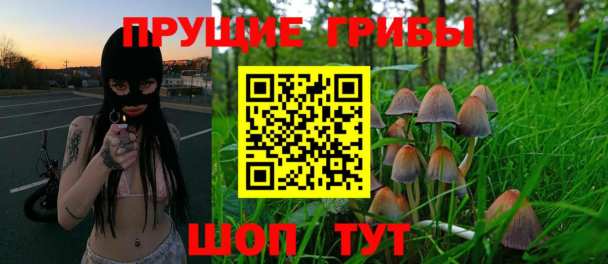 Галлюциногенные грибы ЛСД  Галлюциногенные грибы мухоморы  Вход с VPN  Зеленогорск 