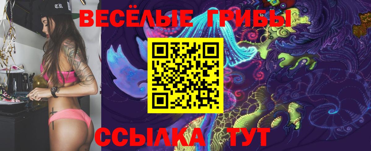 Галлюциногенные грибы Cubensis Зеленогорск